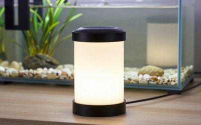 Best Solar-Powered Inflatable LED Lanterns