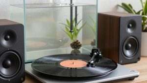 Best Speakers for Vinyl: Find the Right Pair