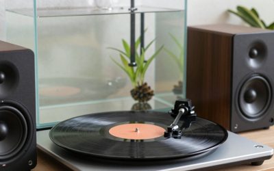 Best Speakers for Vinyl: Find the Right Pair
