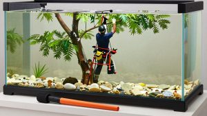Best Throw Line Kits for Arborists and Tree Work