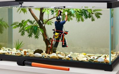 Best Throw Line Kits for Arborists and Tree Work