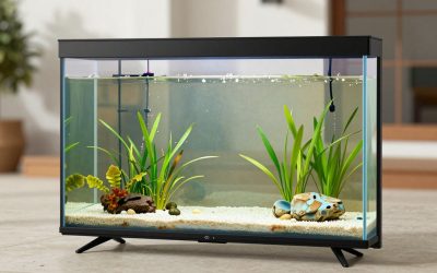 Best TVs for Outdoor Patio: Bright & Weather-Proof