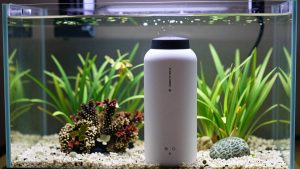Best Vaccums for Planted Tank in 2026: Compared and Ranked