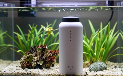 Best Vaccums for Planted Tank in 2026: Compared and Ranked
