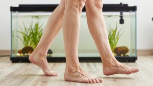Best Walkers for Seniors: Stable & Lightweight Picks