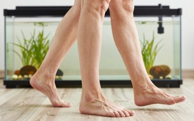 Best Walkers for Seniors: Stable & Lightweight Picks