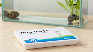 Best Water Test Kit for Freshwater Community Tank in 2026: Compared and Ranked