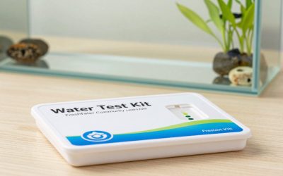 Best Water Test Kit for Freshwater Community Tank in 2026: Compared and Ranked