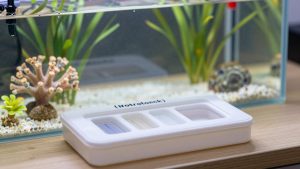 Best Water Test Kit for Reef Aquarium in 2026: Compared and Ranked