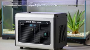 Best Whole Home Generators for Power Outages