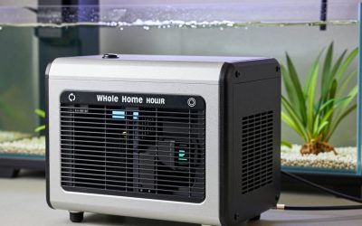 Best Whole Home Generators for Power Outages