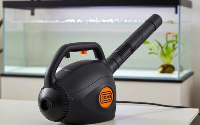 Best Black and Decker Leaf Blower in 2026: How the Top Models Compare
