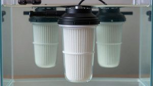 Canister Filter vs Hang on Back Filter: Which Is Right for Your Home (2026)