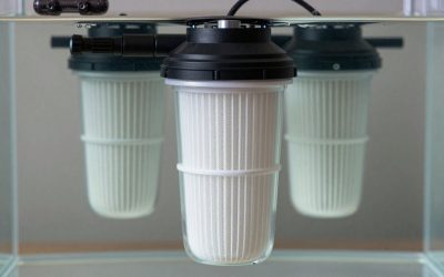 Canister Filter vs Hang on Back Filter: Which Is Right for Your Home (2026)