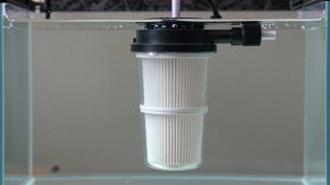 Canister Filter vs Internal Aquarium Filter: Which Is Right for Your Home (2026)