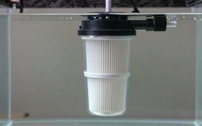 Canister Filter vs Internal Aquarium Filter: Which Is Right for Your Home (2026)