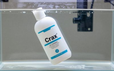 Best Car Wax Polish in 2026: How the Top Models Compare