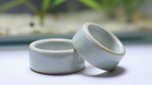Ceramic Rings vs Bio Balls Aquarium: Which Is Right for Your Home (2026)