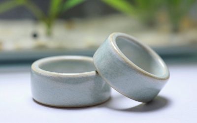 Ceramic Rings vs Bio Balls Aquarium: Which Is Right for Your Home (2026)