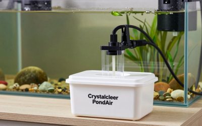 CrystalClear PondAir 2 Complete Aeration Kit vs Aquascape Pond Replacement Aeration Disc 4-inch: Which Should You Buy?