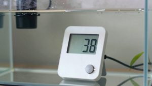 Digital Ph Meter vs Liquid Test Kit: Which Is Right for Your Home (2026)