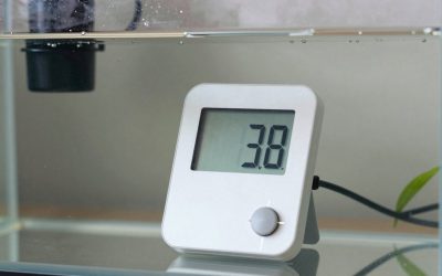 Digital Ph Meter vs Liquid Test Kit: Which Is Right for Your Home (2026)