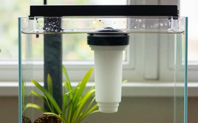 Do I Need a Uv Aquarium Filter? An Honest Answer (2026)