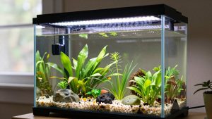Do I Need Led Light for Plants? An Honest Answer (2026)