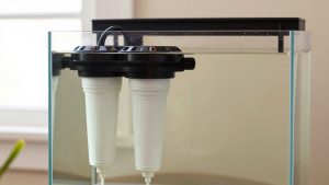 Do I Need Two Aquarium Filters? An Honest Answer (2026)