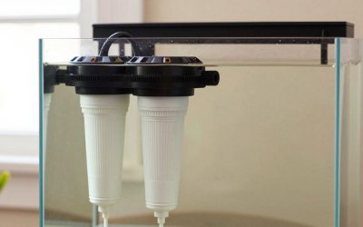 Do I Need Two Aquarium Filters? An Honest Answer (2026)