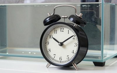 Best Donald Trump Alarm Clock in 2026: How the Top Models Compare