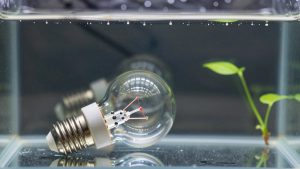 Best E27 Light Bulb in 2026: Compared and Ranked
