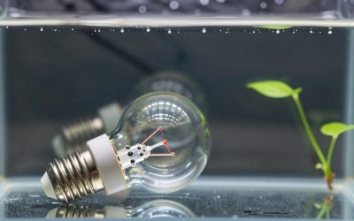 Best E27 Light Bulb in 2026: Compared and Ranked