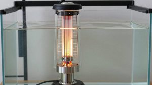 Glass Heater vs Titanium Aquarium Heater: Which Is Right for Your Home (2026)