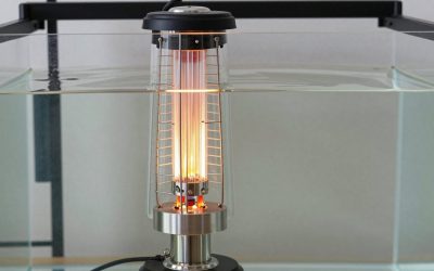 Glass Heater vs Titanium Aquarium Heater: Which Is Right for Your Home (2026)