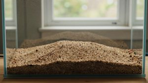 How Much Aquarium Substrate for 20 Gallons? Size Guide With Measurements (2026)