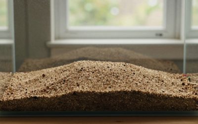 How Much Aquarium Substrate for 20 Gallons? Size Guide With Measurements (2026)