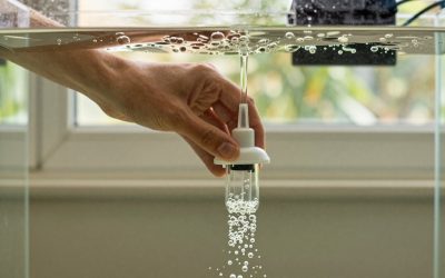 How to Adjust Protein Skimmer Bubbles (2026): Step-by-Step