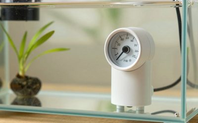 How to Calibrate Aquarium Heater Thermostat (2026): Step-by-Step
