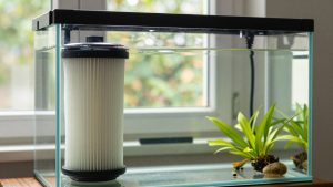How to Choose Aquarium Filter Flow Rate in 2026: What Actually Matters