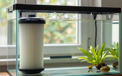 How to Choose Aquarium Filter Flow Rate in 2026: What Actually Matters