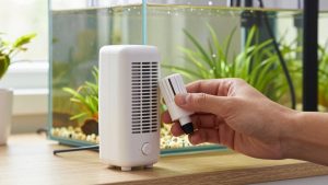 How to Choose Aquarium Heater Thermostat Accuracy in 2026: What Actually Matters