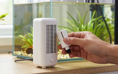 How to Choose Aquarium Heater Thermostat Accuracy in 2026: What Actually Matters