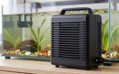 How to Choose Aquarium Heater Wattage in 2026: What Actually Matters