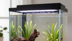 How to Choose Aquarium LED Lighting: What Actually Matters
