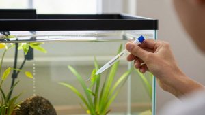 How to Choose Aquarium Water Test Kit in 2026: What Actually Matters