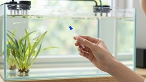 How to Choose Freshwater Test Kit in 2026: What Actually Matters