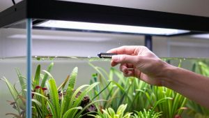 How to Choose Led Light for Plants in 2026: What Actually Matters