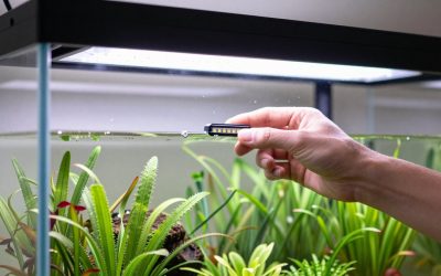 How to Choose Led Light for Plants in 2026: What Actually Matters