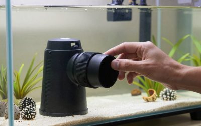 How to Choose Reef Protein Skimmer Size in 2026: What Actually Matters